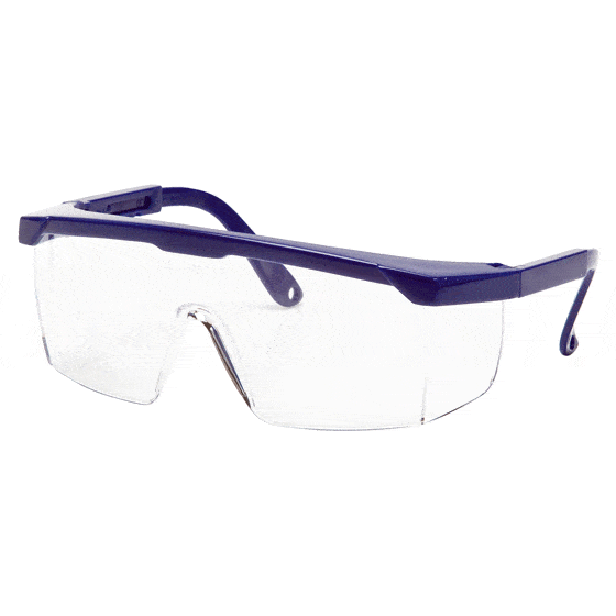 Die vielseitigste Brille mit zahlreichen Versionen